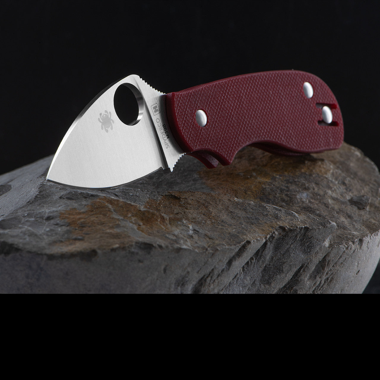 Spyderco Squeak